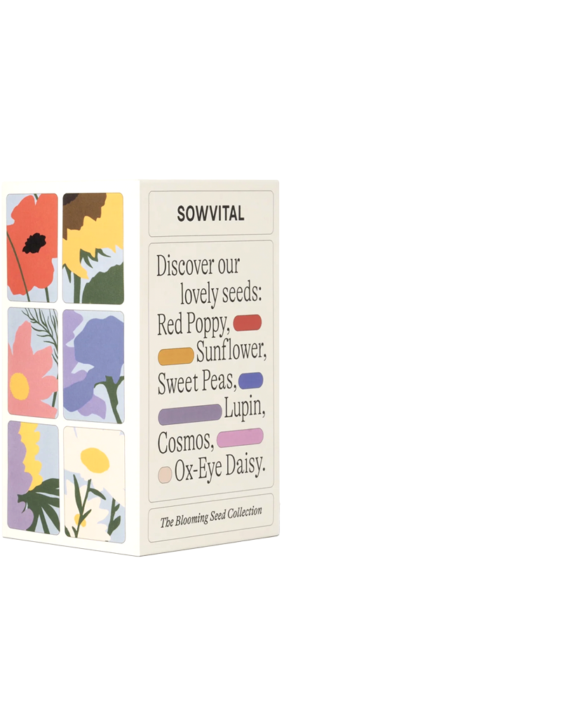 FLOWER SEED COLLECTION