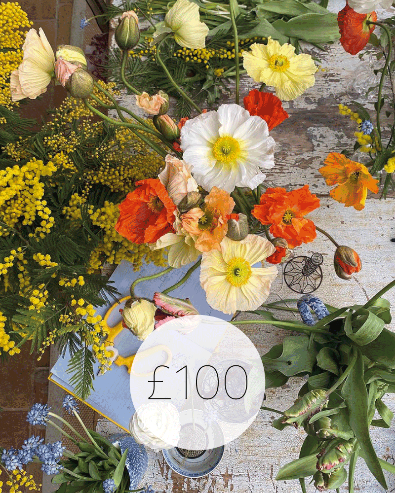 £100 Gift Voucher