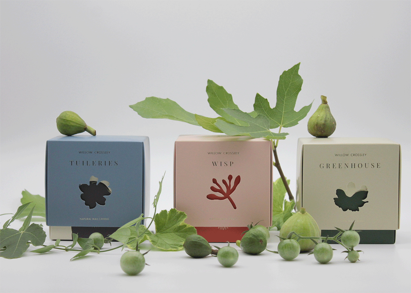 TUILERIES SCENTED CANDLE