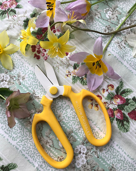 Willow’s Guide to Choosing Secateurs For Flower Arranging