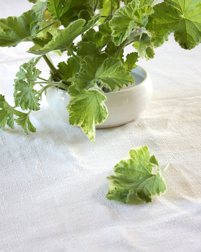 Green leaves arranged using a floral pin holder or flower frog in a small white bowl