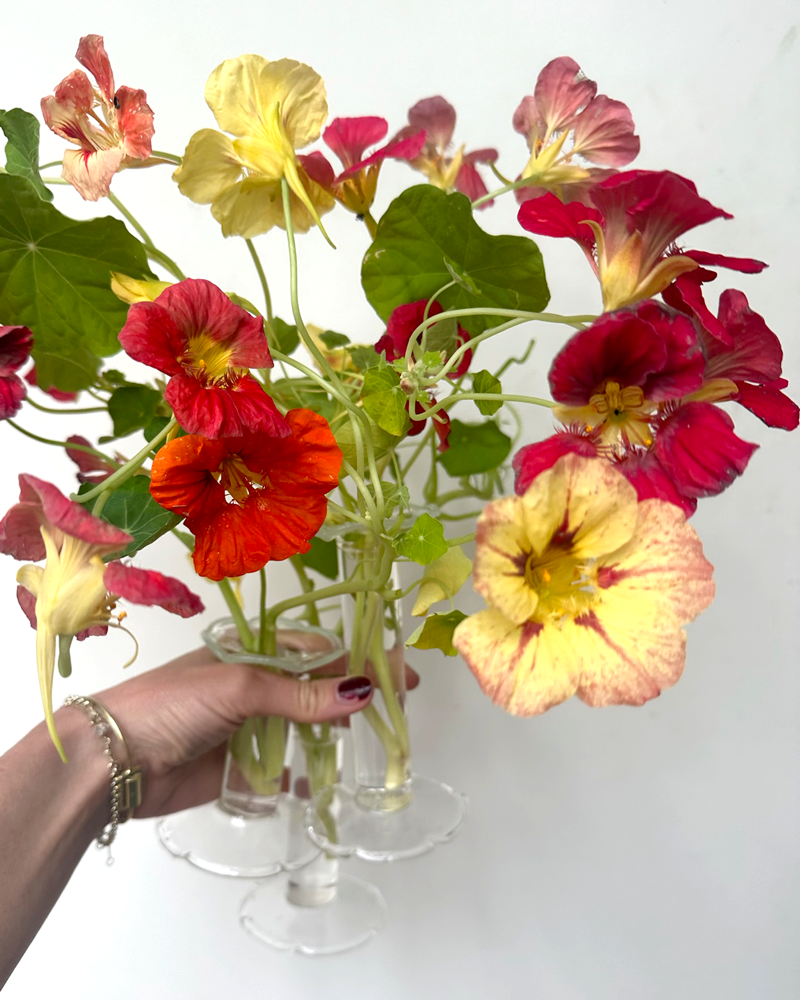 PETAL VASE TRIO