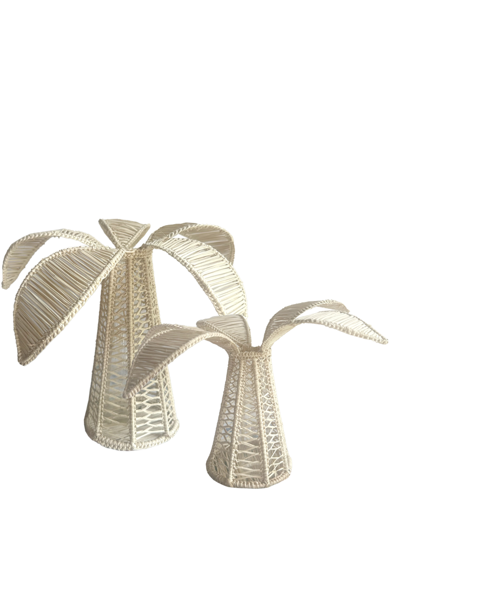 RATTAN PALM VASE SET
