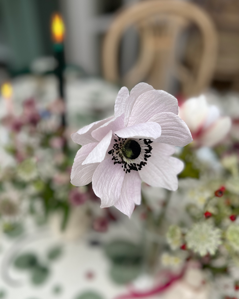 SOFTEST LILAC ANEMONE