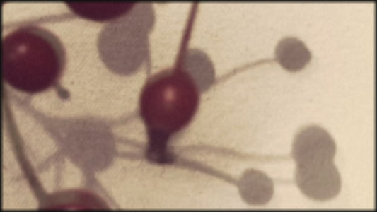 one minute film about Willow Crossley's festive decorating tutorials