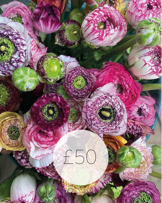 £50 Gift Voucher